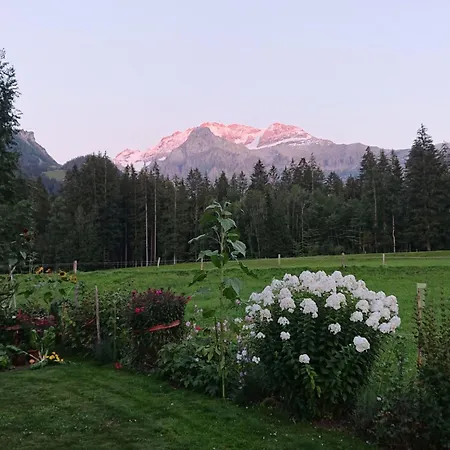 Trachsel-huus By Interhome Lenk