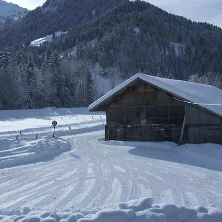 Trachsel-huus By Interhome Lenk