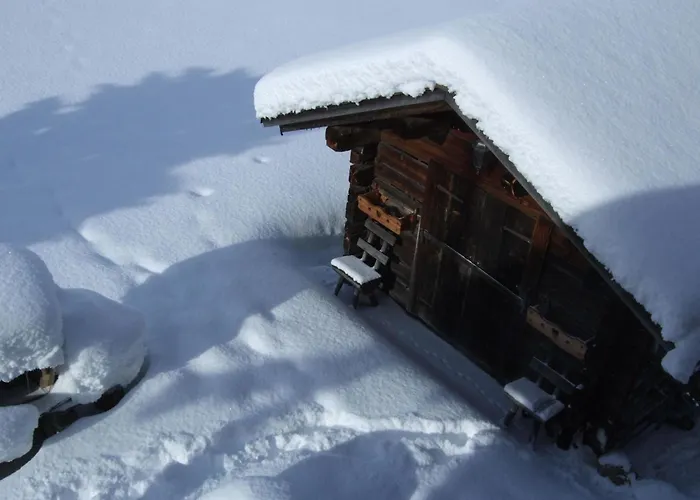 Trachsel-huus By Interhome 公寓 伦克