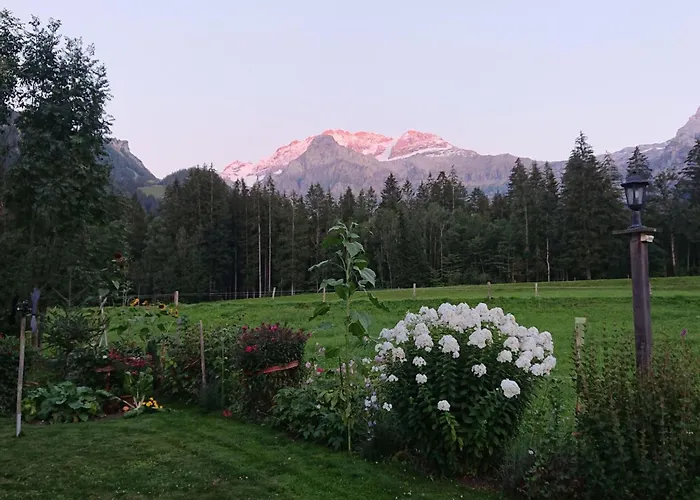 Trachsel-huus By Interhome 伦克