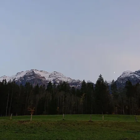 Trachsel-huus By Interhome Appartamento *